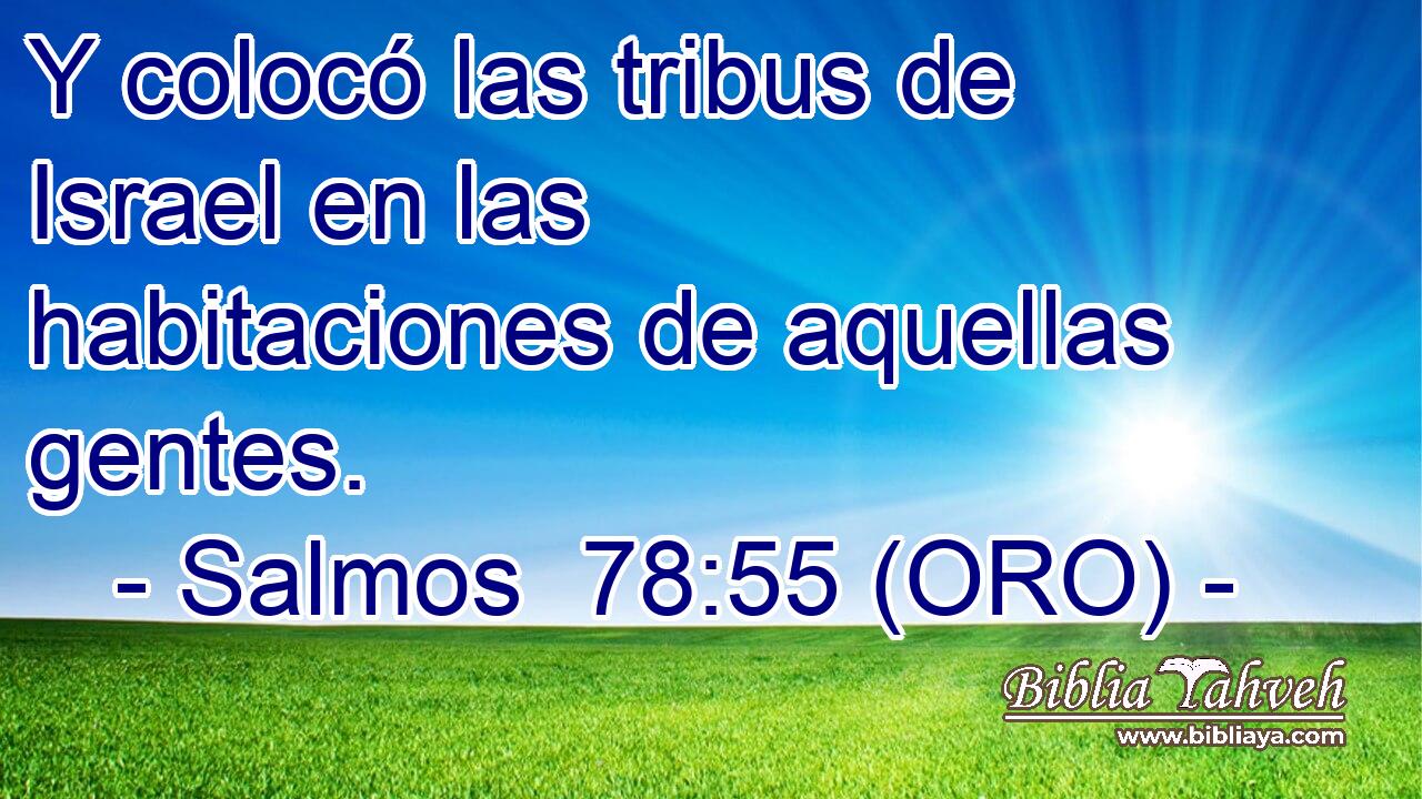  Y colocó las tribus de Israel en las habitaciones de aquellas gentes. 