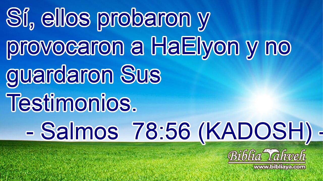  Sí, ellos probaron y provocaron a HaElyon y no guardaron Sus Testimonios. 