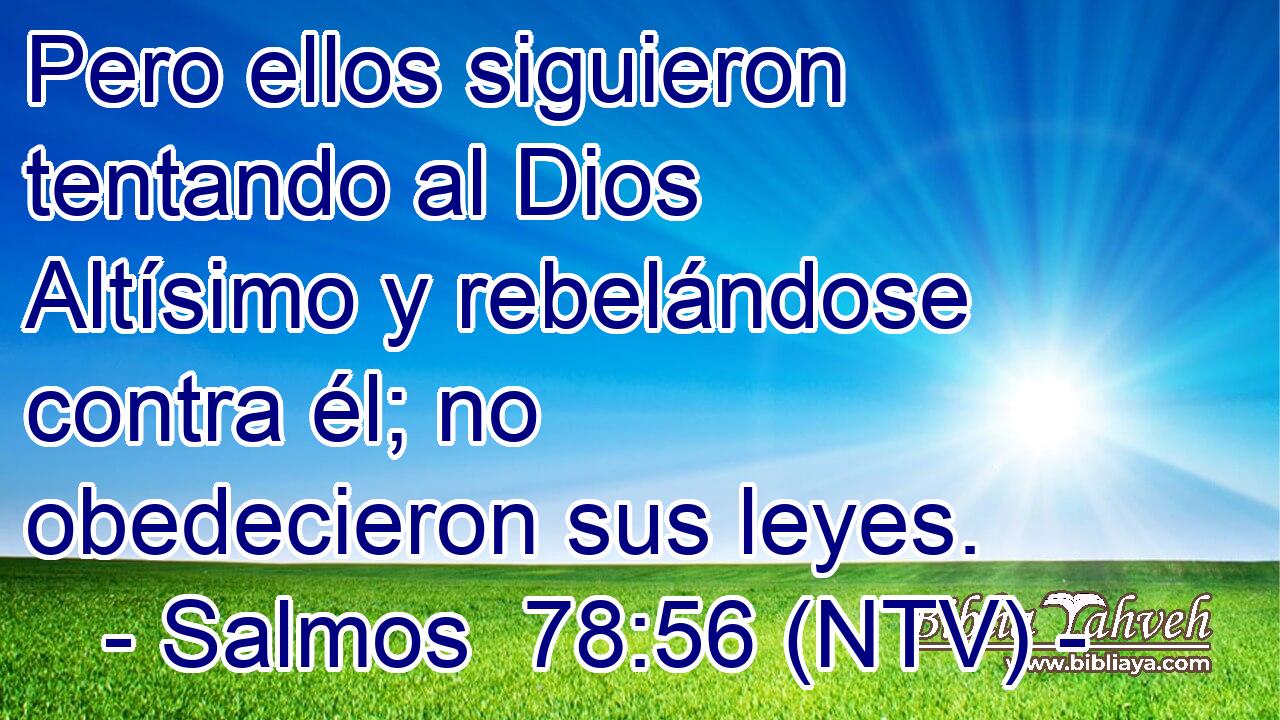 Pero ellos siguieron tentando al Dios Altísimo y rebelándose contra él; no obedecieron sus leyes.