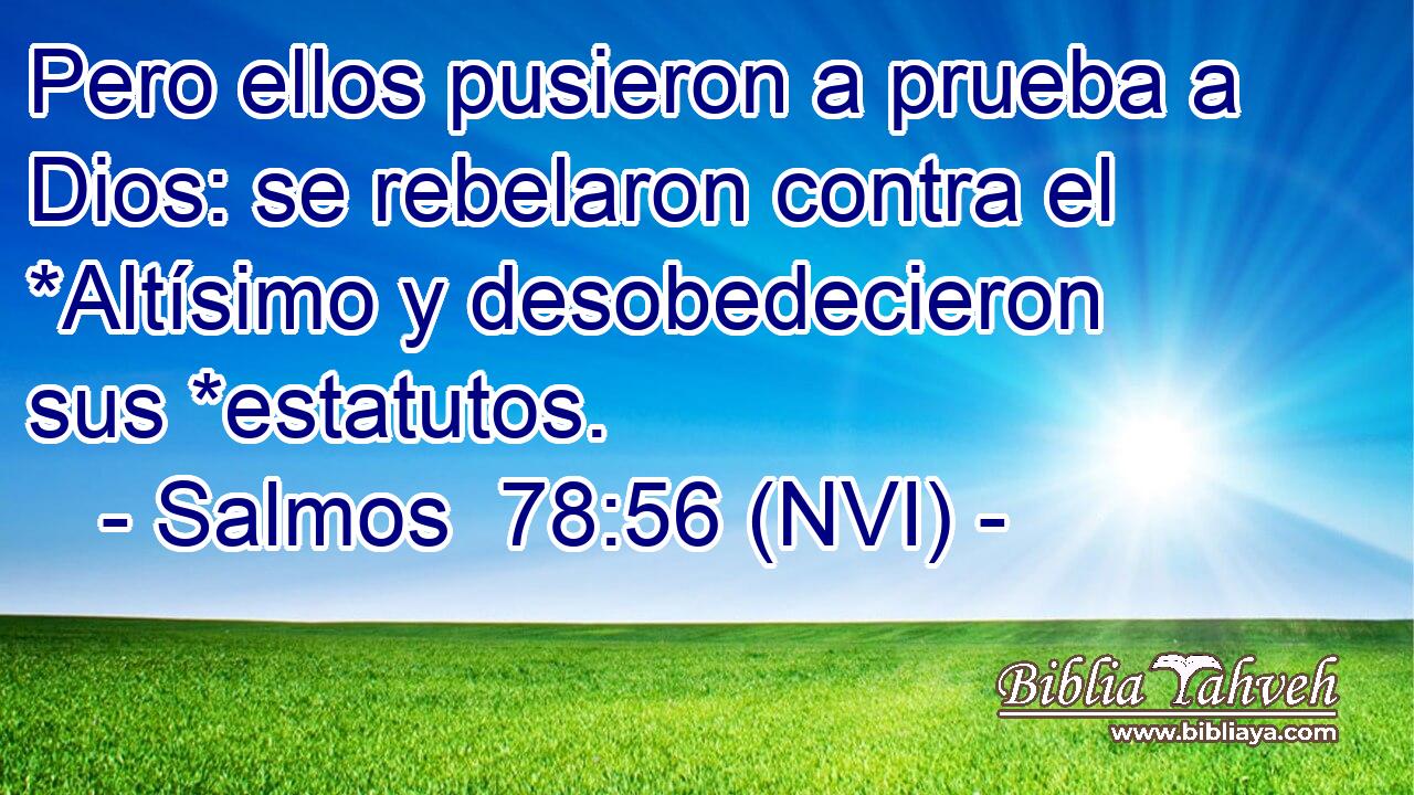  Pero ellos pusieron a prueba a Dios: se rebelaron contra el *Altísimo y desobedecieron sus *estatutos. 