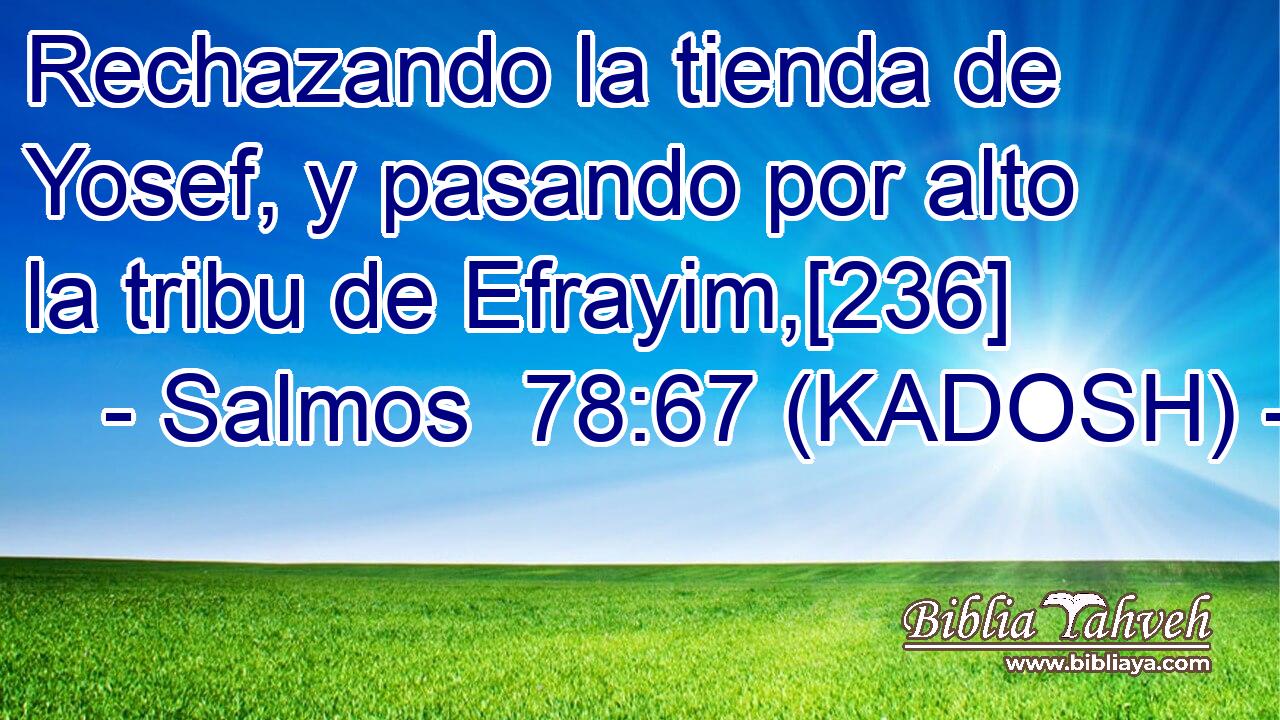  Rechazando la tienda de Yosef, y pasando por alto la tribu de Efrayim,[236] 