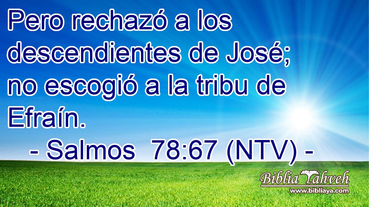 Pero rechazó a los descendientes de José; no escogió a la tribu de Efraín.