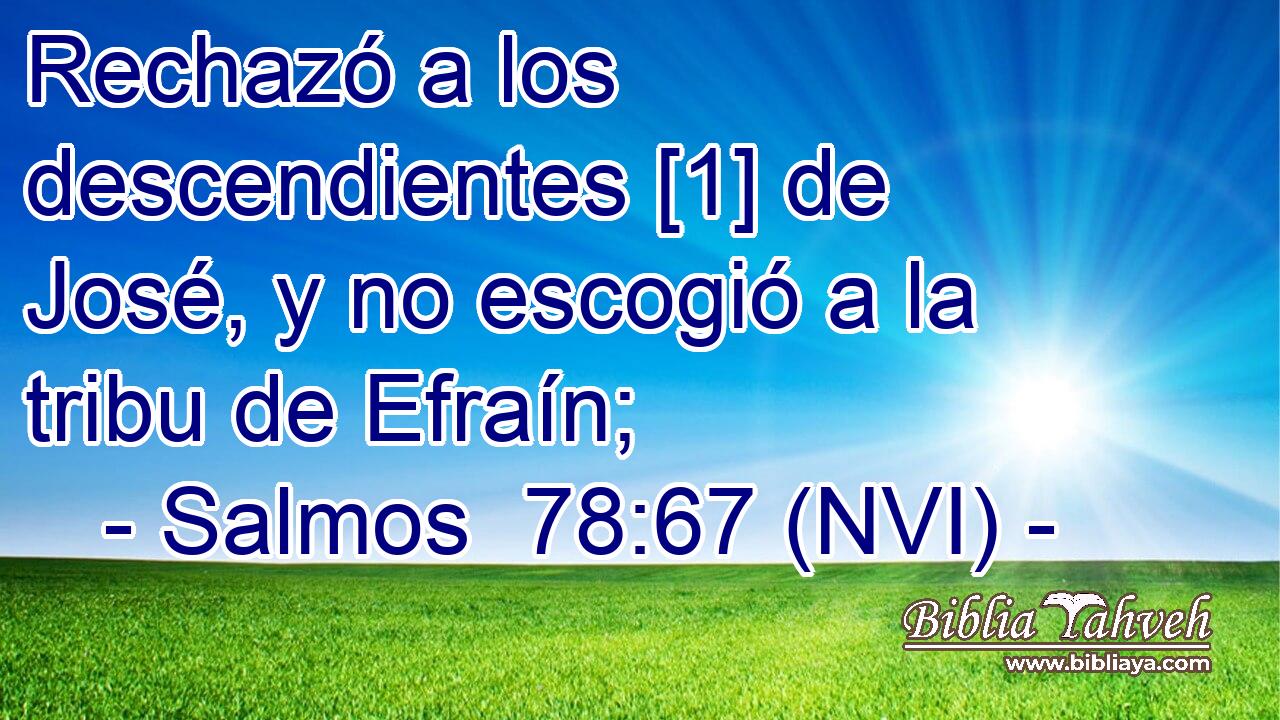  Rechazó a los descendientes [1] de José, y no escogió a la tribu de Efraín; 