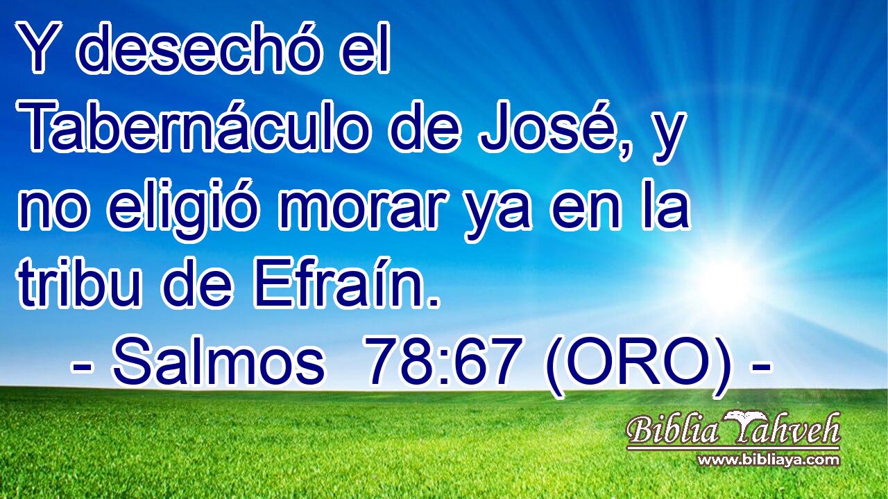  Y desechó el Tabernáculo de José, y no eligió morar ya en la tribu de Efraín. 