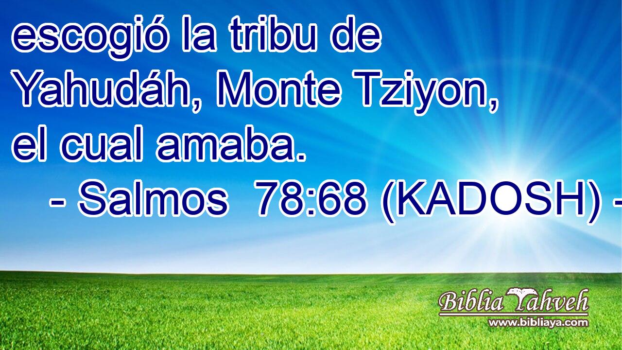  escogió la tribu de Yahudáh, Monte Tziyon, el cual amaba. 