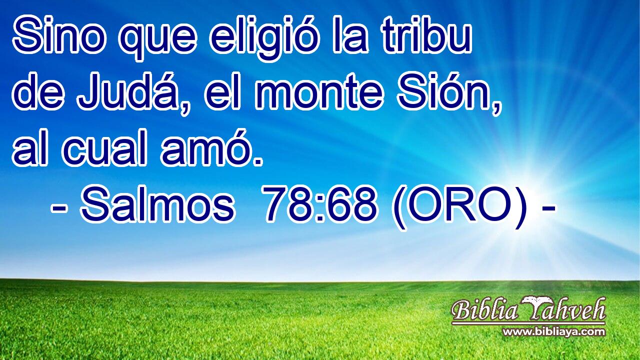  Sino que eligió la tribu de Judá, el monte Sión, al cual amó. 