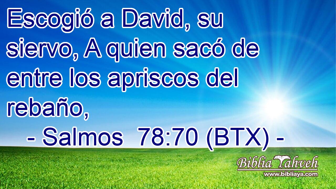 Escogió a David, su siervo, A quien sacó de entre los apriscos del rebaño,