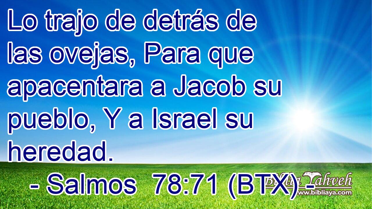 Lo trajo de detrás de las ovejas, Para que apacentara a Jacob su pueblo, Y a Israel su heredad.