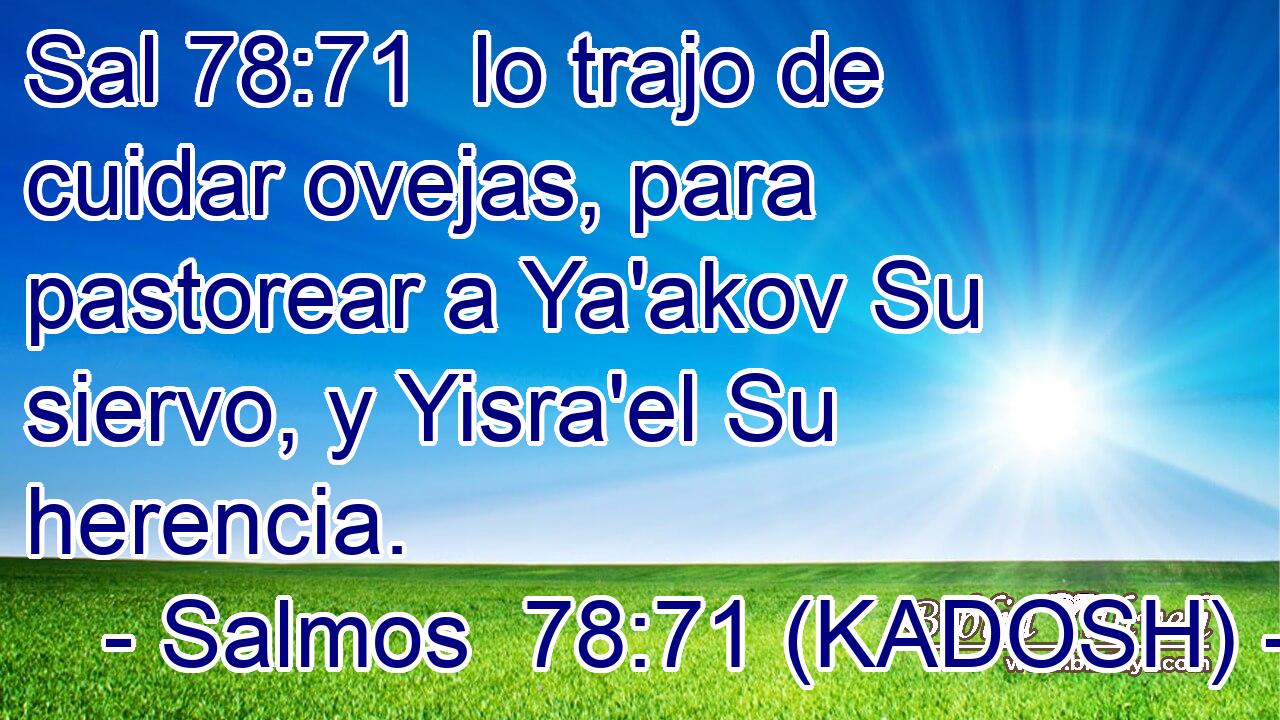 lo trajo de cuidar ovejas, para pastorear a Ya'akov Su siervo, y Yisra'el Su herencia. 