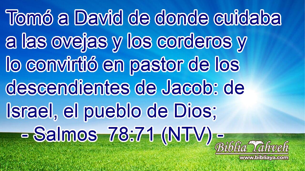 Tomó a David de donde cuidaba a las ovejas y los corderos y lo convirtió en pastor de los descendientes de Jacob: de Israel, el pueblo de Dios;