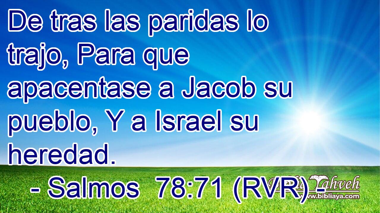De tras las paridas lo trajo, Para que apacentase a Jacob su pueblo, Y a Israel su heredad.