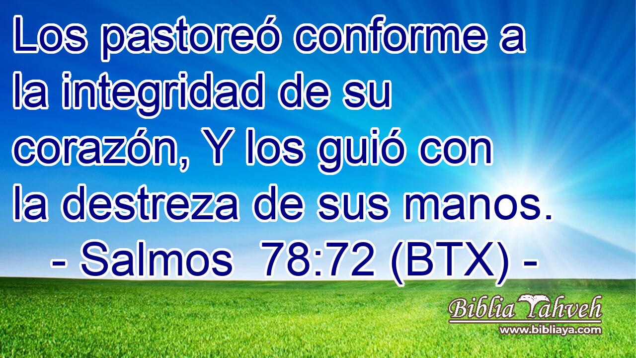Los pastoreó conforme a la integridad de su corazón, Y los guió con la destreza de sus manos.