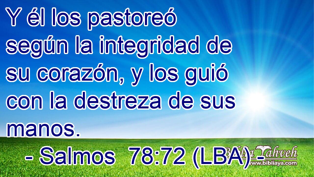 Y él los pastoreó según la integridad de su corazón, y los guió con la destreza de sus manos.