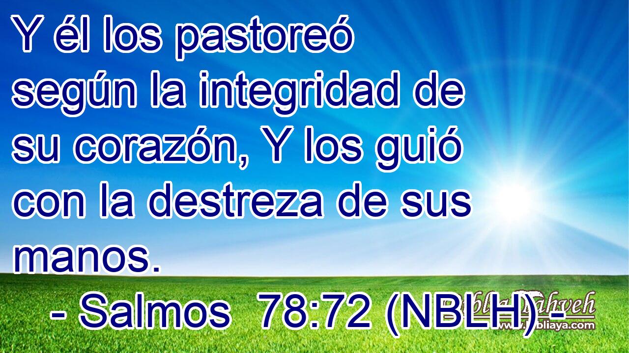  Y él los pastoreó según la integridad de su corazón, Y los guió con la destreza de sus manos. 