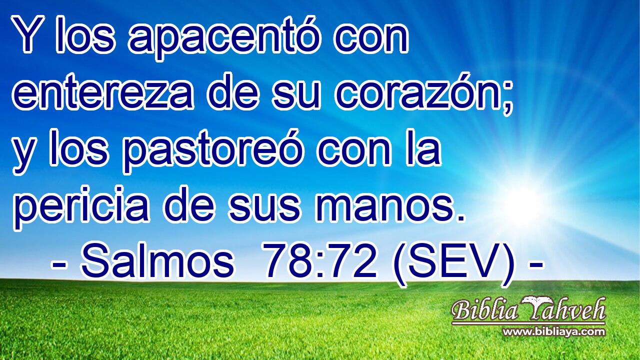 Y los apacentó con entereza de su corazón; y los pastoreó con la pericia de sus manos.