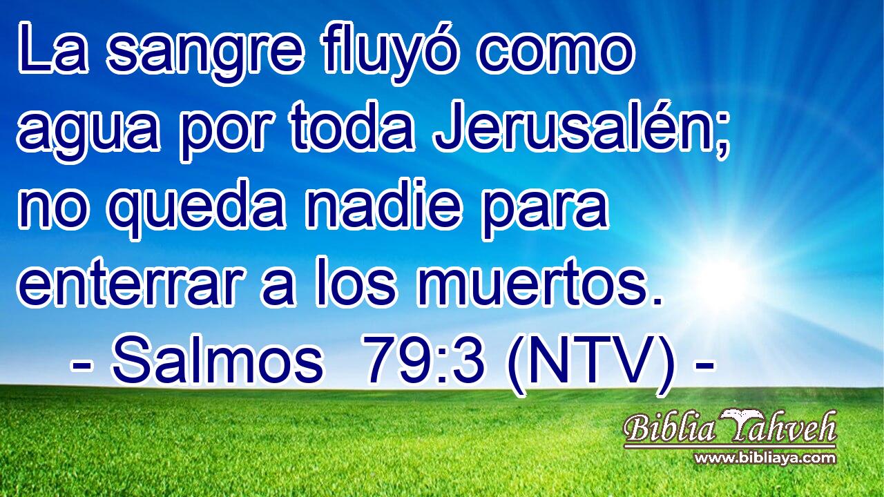 La sangre fluyó como agua por toda Jerusalén; no queda nadie para enterrar a los muertos.