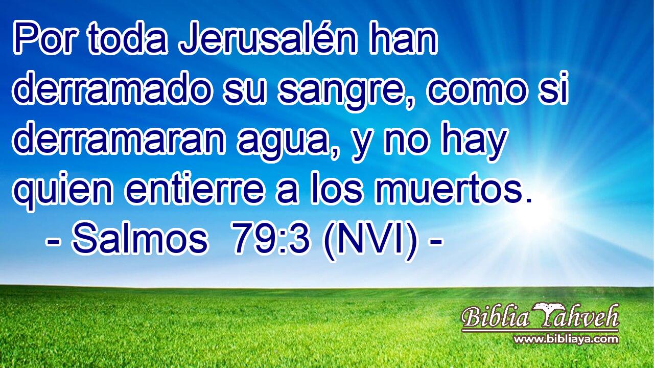  Por toda Jerusalén han derramado su sangre, como si derramaran agua, y no hay quien entierre a los muertos. 