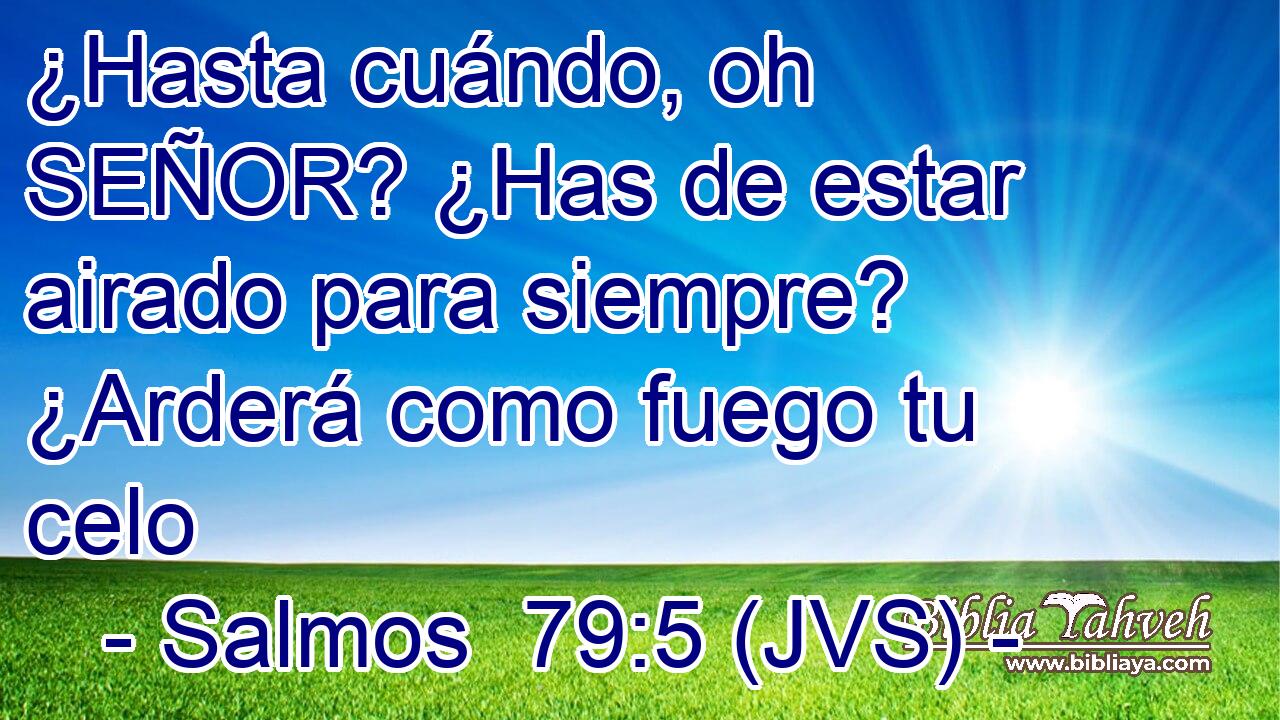 ¿Hasta cuándo, oh SEÑOR? ¿Has de estar airado para siempre? ¿Arderá como fuego tu celo