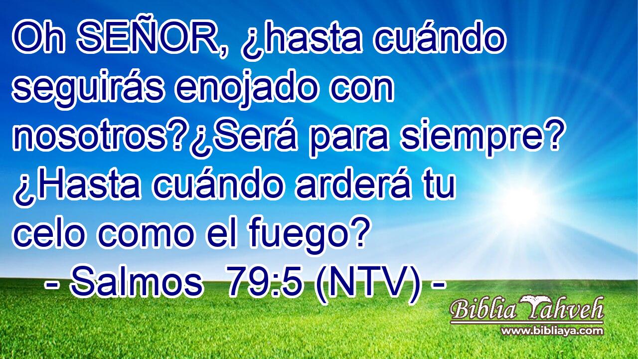 Oh SEÑOR, ¿hasta cuándo seguirás enojado con nosotros?¿Será para siempre? ¿Hasta cuándo arderá tu celo como el fuego?