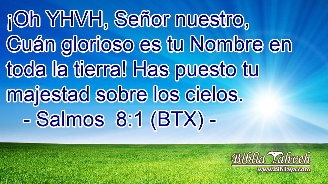 ¡Oh YHVH, Señor nuestro, Cuán glorioso es tu Nombre en toda la tierra! Has puesto tu majestad sobre los cielos.
