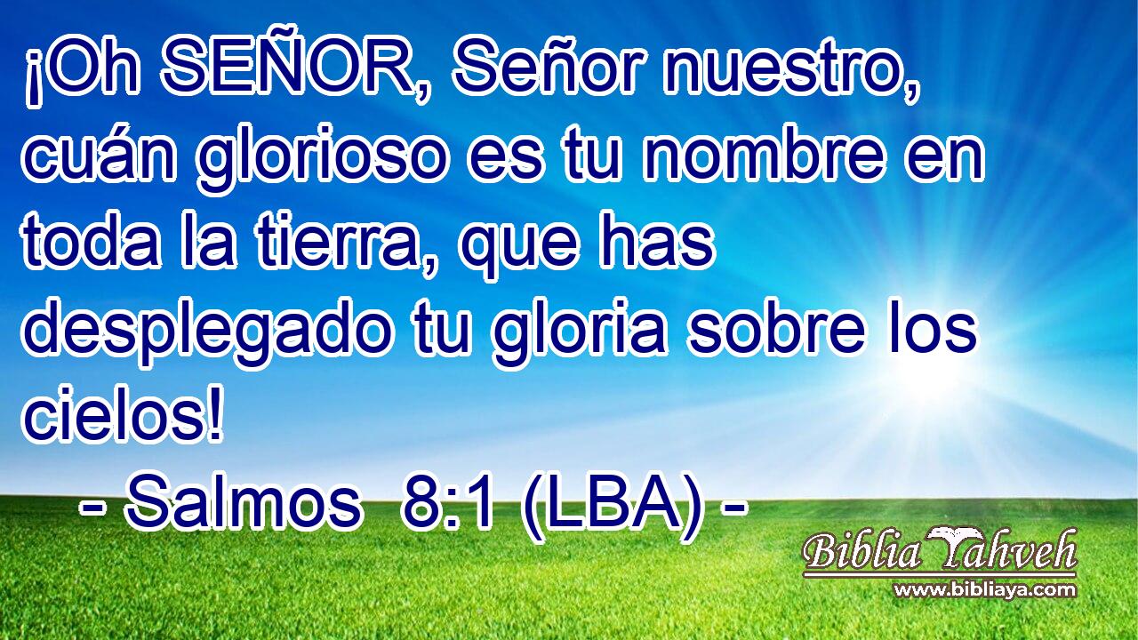 ¡Oh SEÑOR, Señor nuestro, cuán glorioso es tu nombre en toda la tierra, que has desplegado tu gloria sobre los cielos!