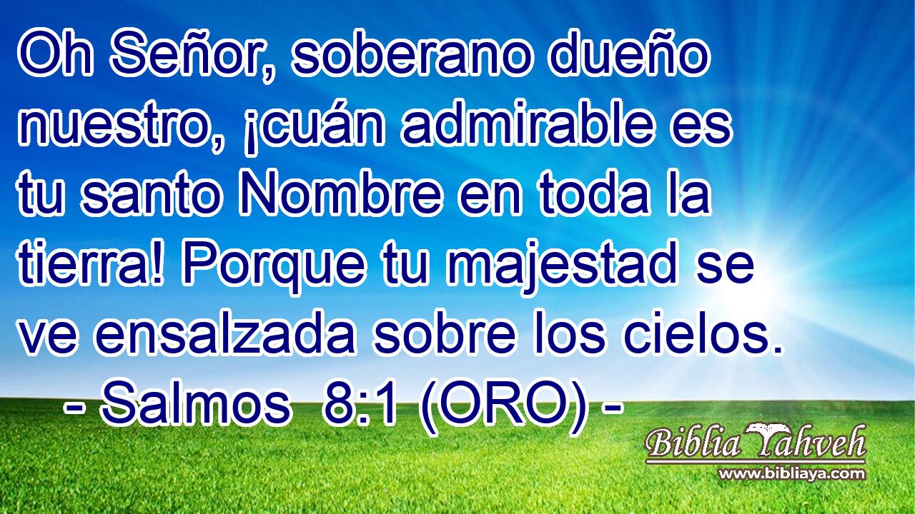  Oh Señor, soberano dueño nuestro, ¡cuán admirable es tu santo Nombre en toda la tierra! Porque tu majestad se ve ensalzada sobre los cielos. 
