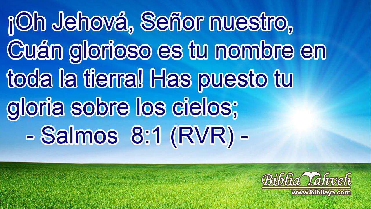 ¡Oh Jehová, Señor nuestro, Cuán glorioso es tu nombre en toda la tierra! Has puesto tu gloria sobre los cielos;