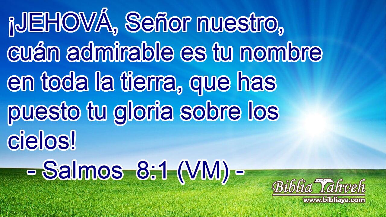  ¡JEHOVÁ, Señor nuestro, cuán admirable es tu nombre en toda la tierra, que has puesto tu gloria sobre los cielos! 