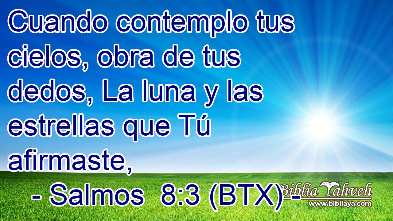 Cuando contemplo tus cielos, obra de tus dedos, La luna y las estrellas que Tú afirmaste,