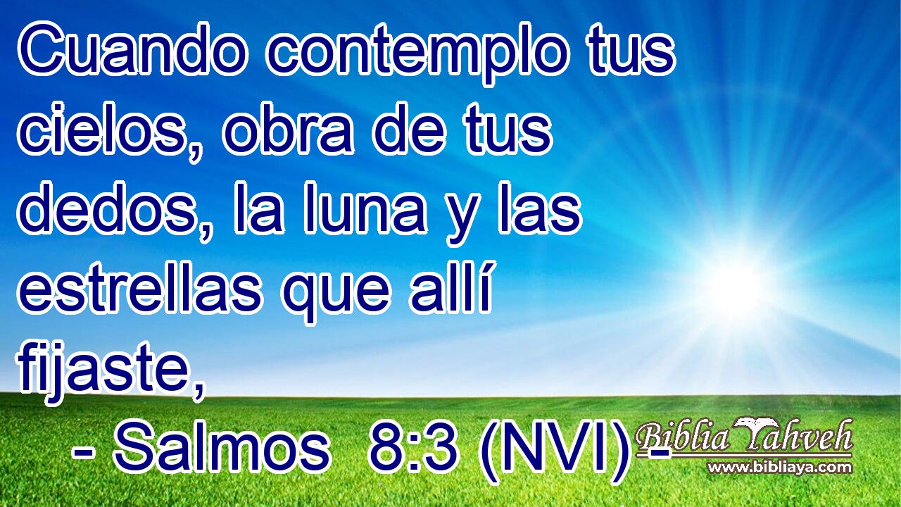  Cuando contemplo tus cielos, obra de tus dedos, la luna y las estrellas que allí fijaste, 