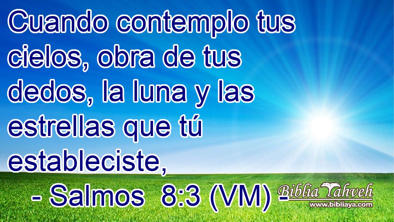  Cuando contemplo tus cielos, obra de tus dedos, la luna y las estrellas que tú estableciste, 