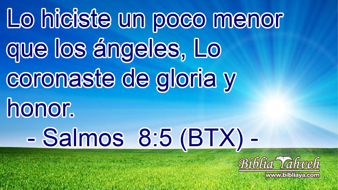 Lo hiciste un poco menor que los ángeles, Lo coronaste de gloria y honor.