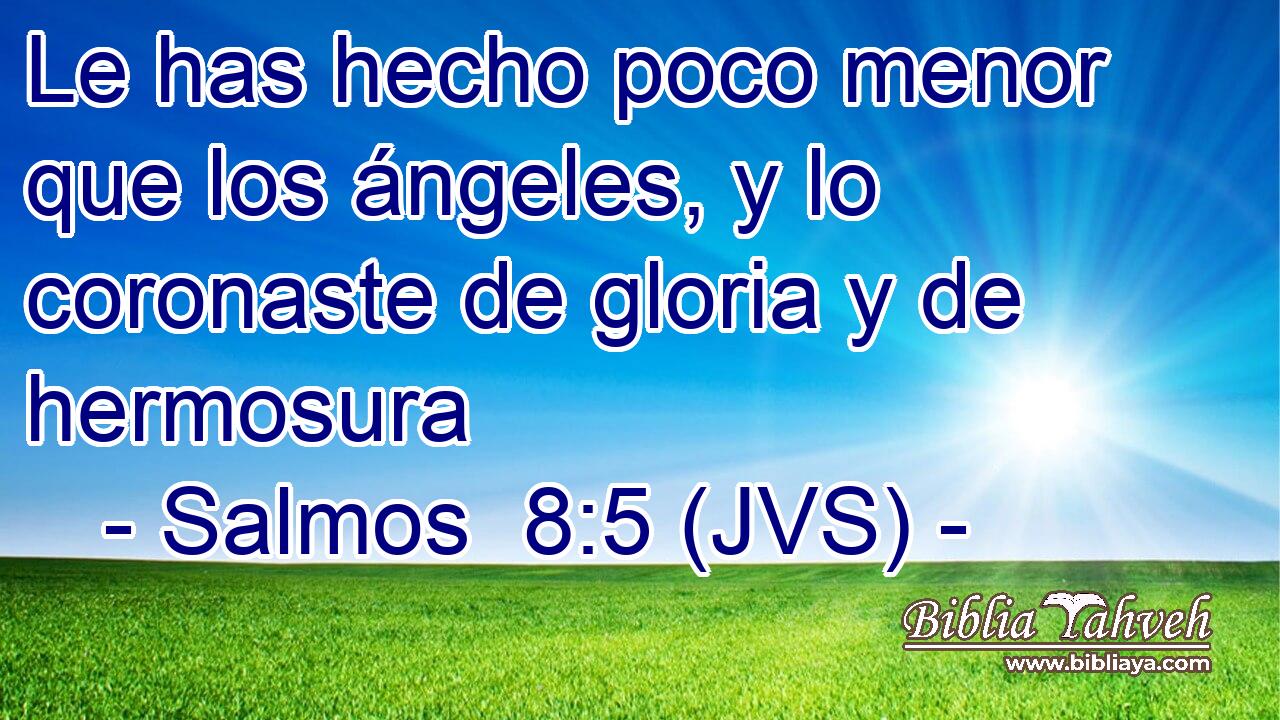 Le has hecho poco menor que los ángeles, y lo coronaste de gloria y de hermosura