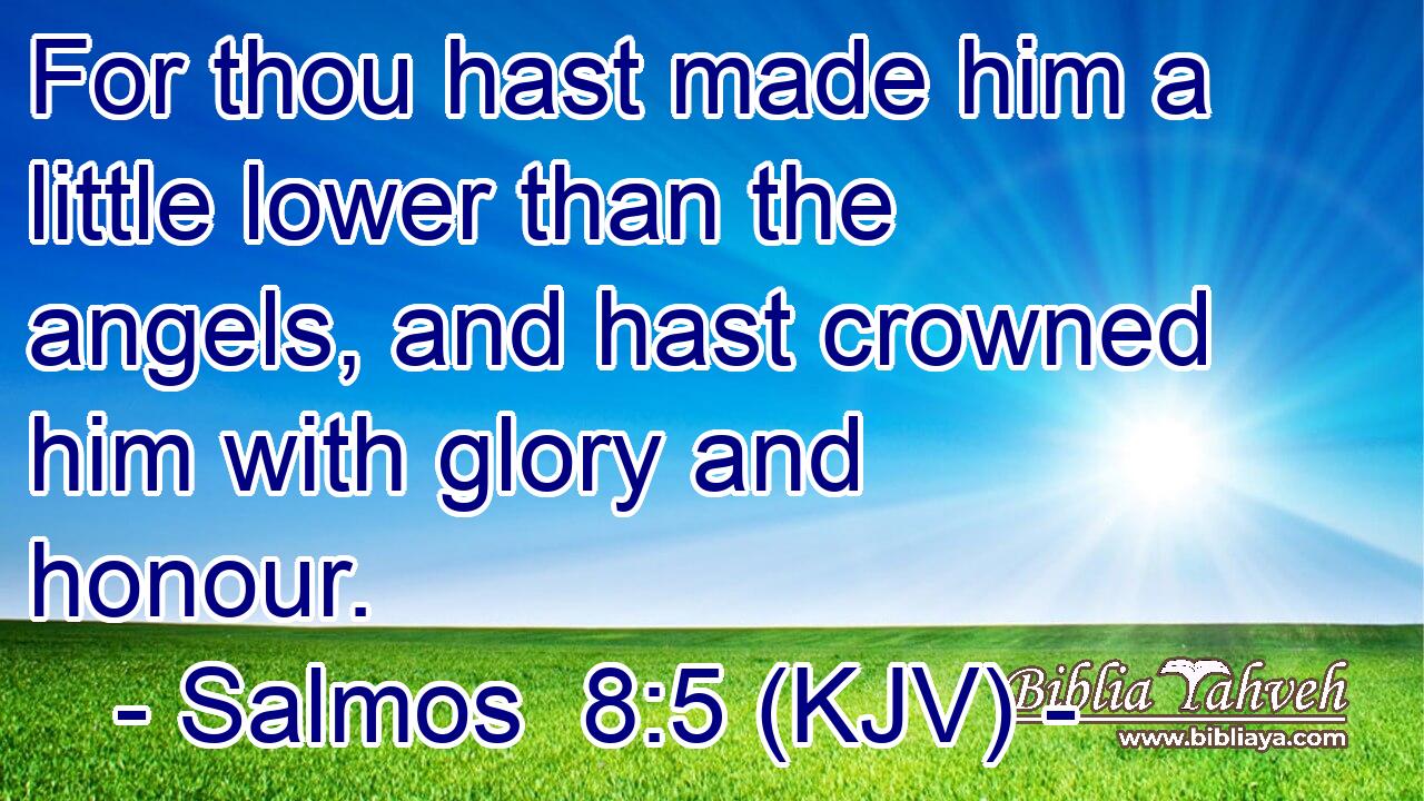 For thou hast made him a little lower than the angels, and hast crowned him with glory and honour.