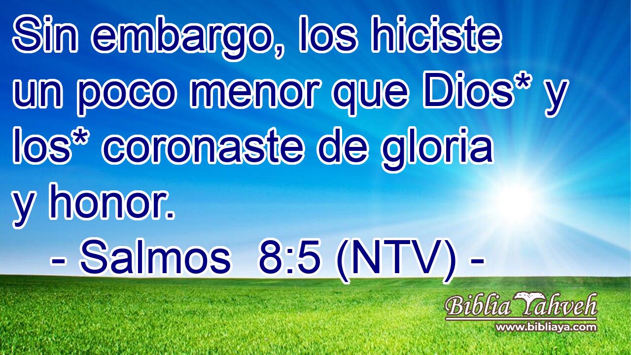 Sin embargo, los hiciste un poco menor que Dios* y los* coronaste de gloria y honor.