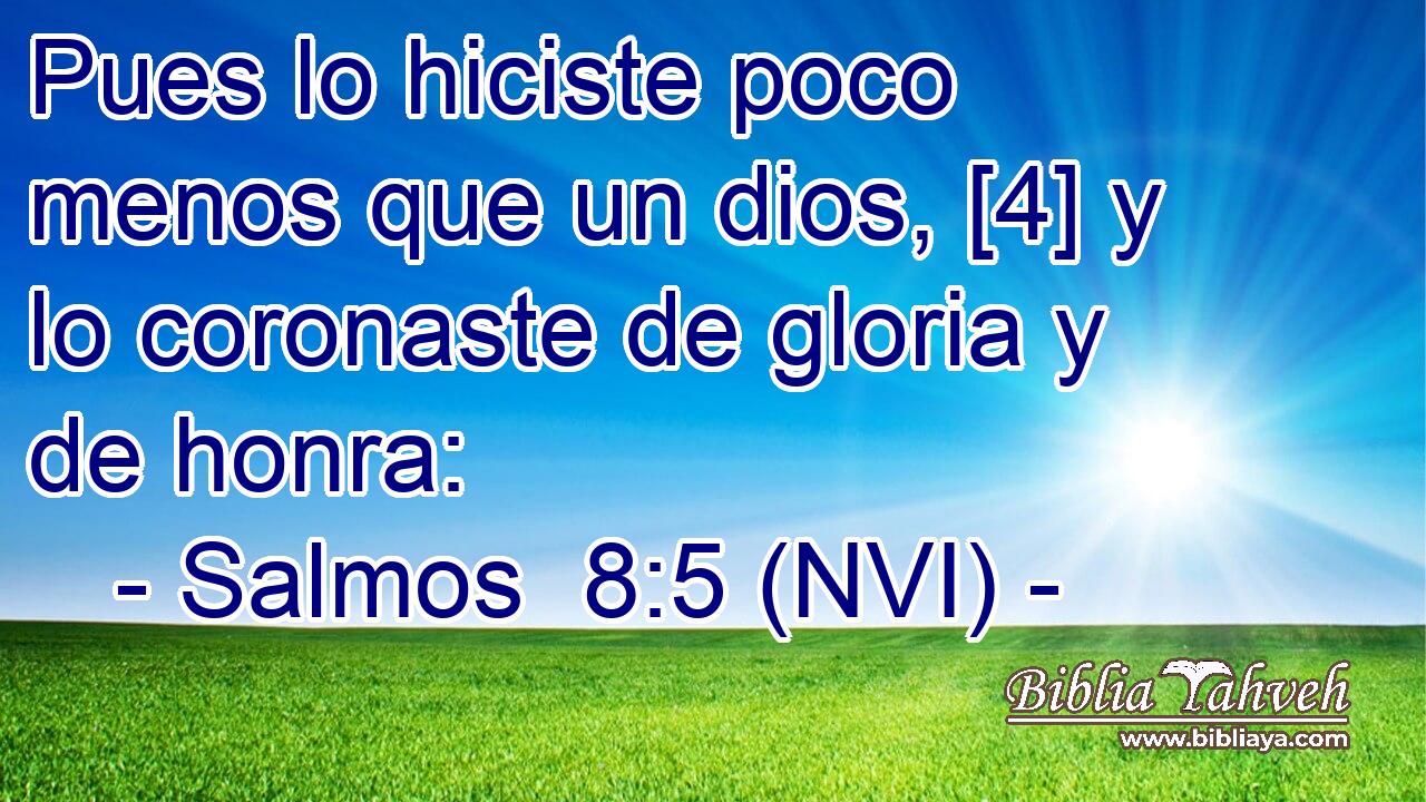  Pues lo hiciste poco menos que un dios, [4] y lo coronaste de gloria y de honra: 