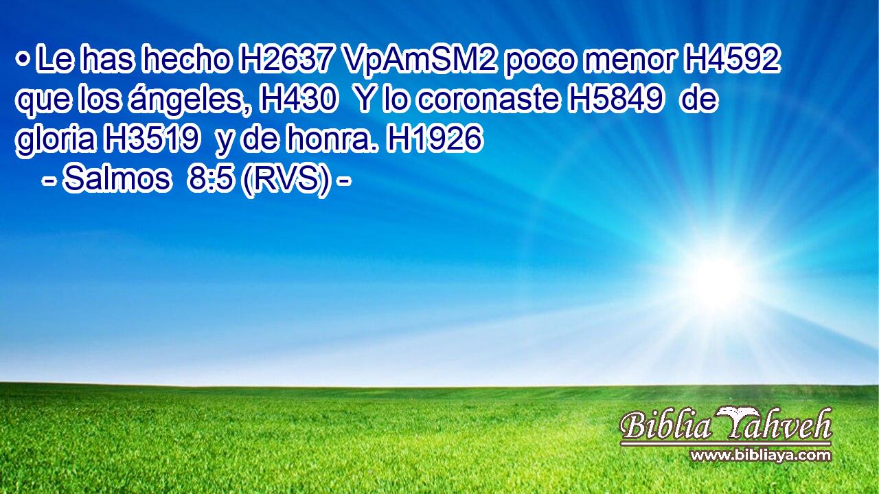 • Le has hecho H2637 VpAmSM2 poco menor H4592  que los ángeles, H430  Y lo coronaste H5849  de gloria H3519  y de honra. H1926  