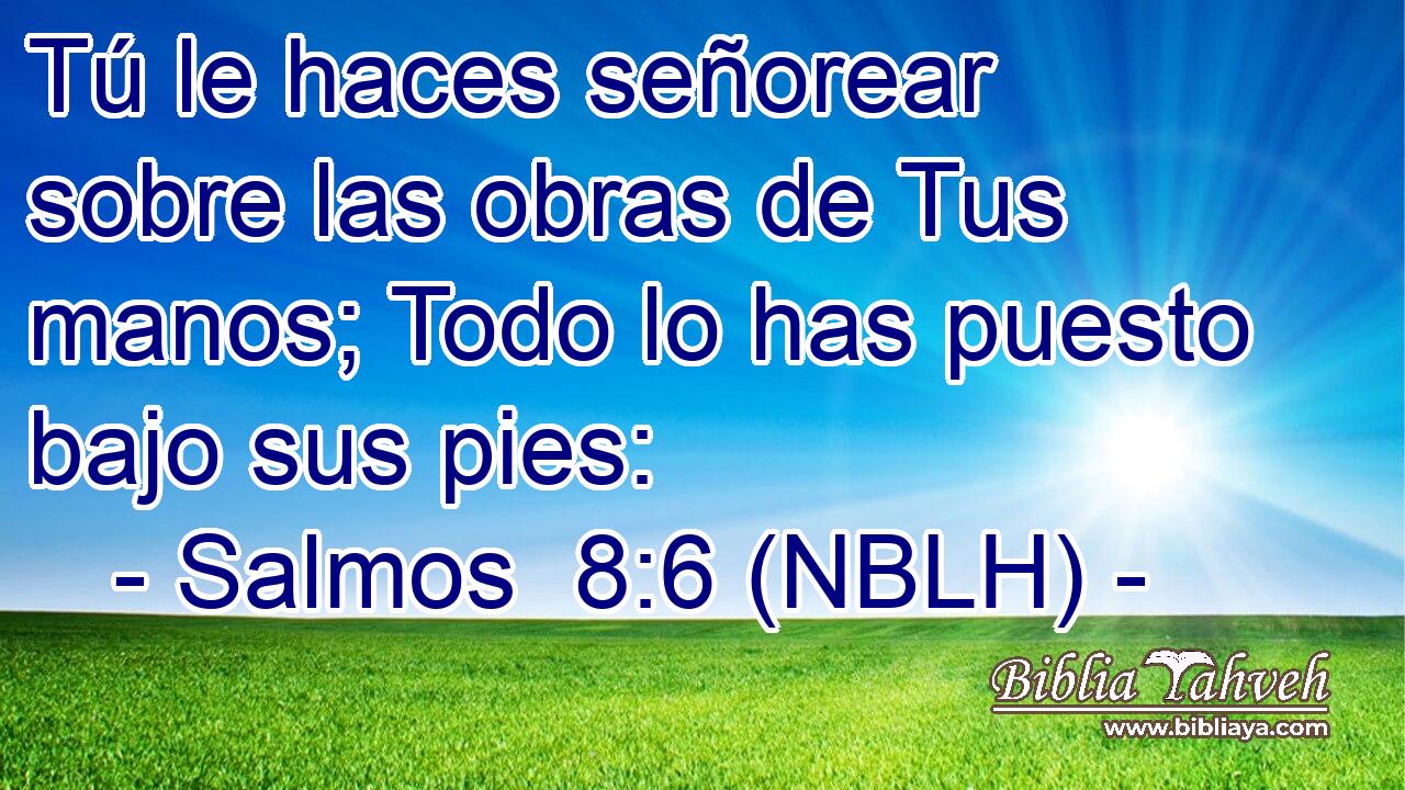  Tú le haces señorear sobre las obras de Tus manos; Todo lo has puesto bajo sus pies: 