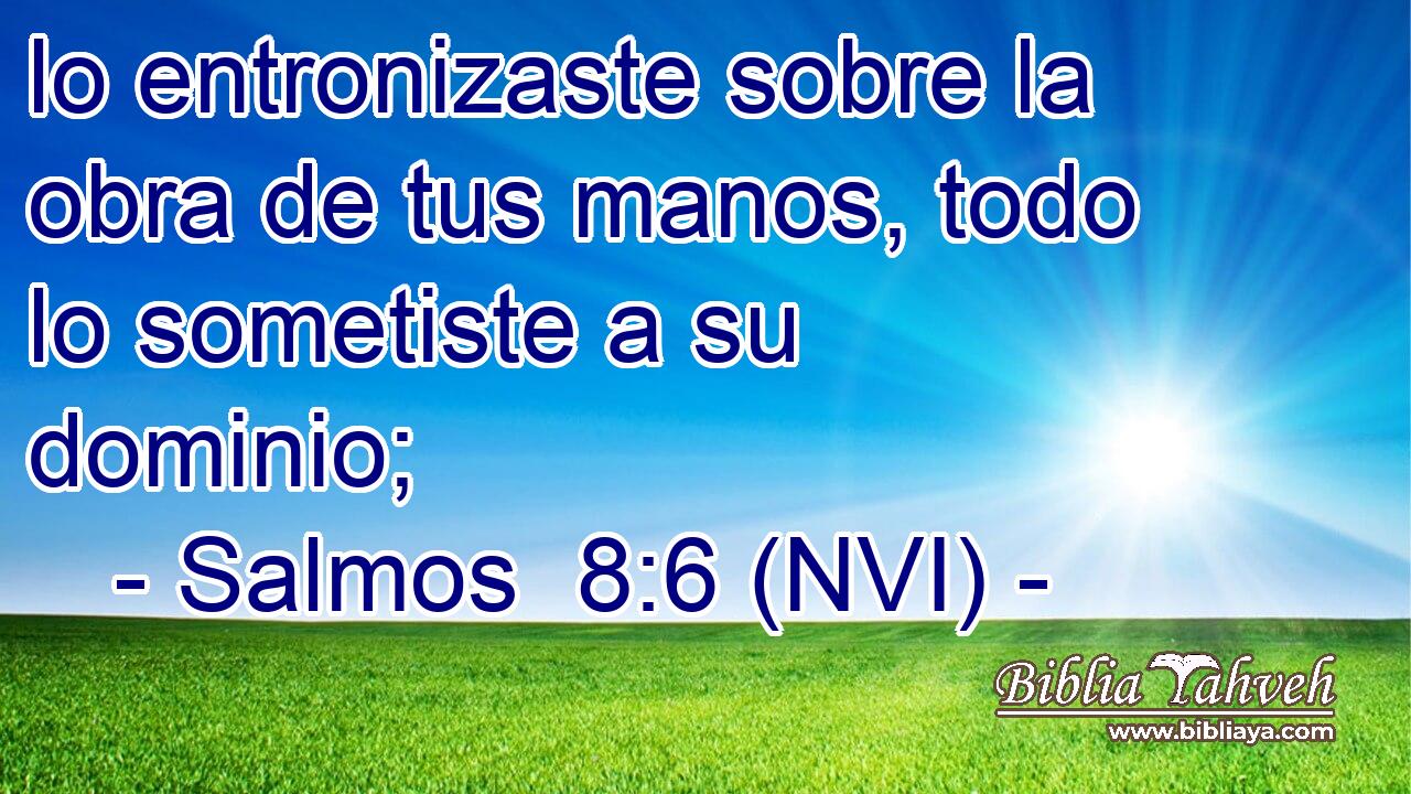  lo entronizaste sobre la obra de tus manos, todo lo sometiste a su dominio; 
