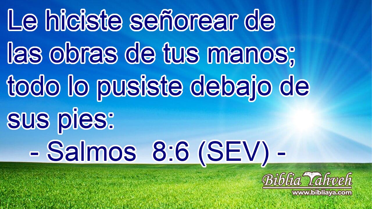 Le hiciste señorear de las obras de tus manos; todo lo pusiste debajo de sus pies: