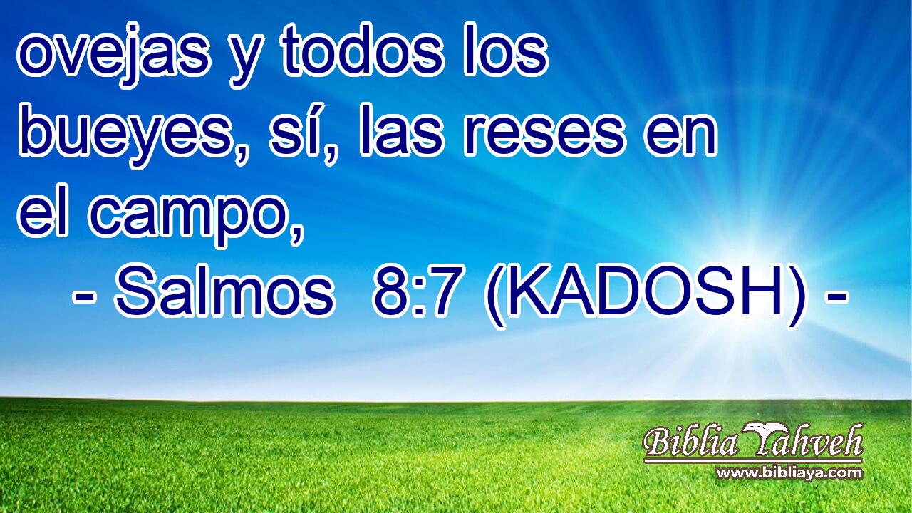  ovejas y todos los bueyes, sí, las reses en el campo, 