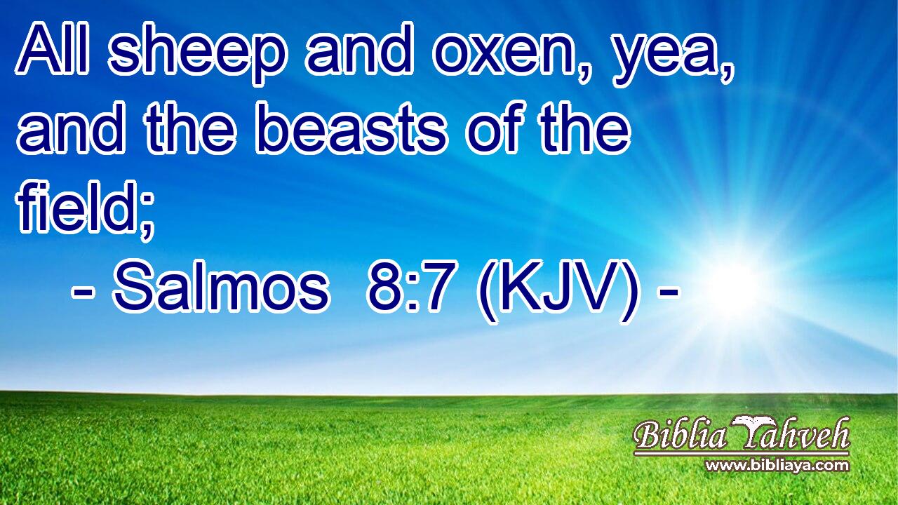 All sheep and oxen, yea, and the beasts of the field;