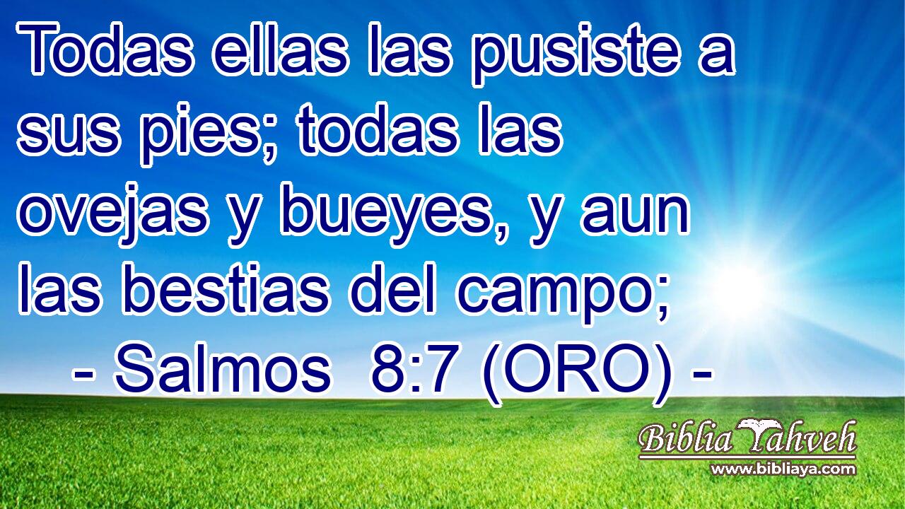  Todas ellas las pusiste a sus pies; todas las ovejas y bueyes, y aun las bestias del campo; 