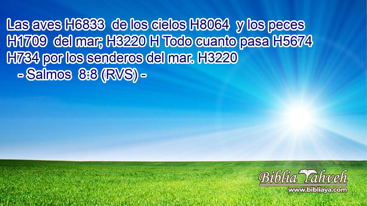 Las aves H6833  de los cielos H8064  y los peces H1709  del mar; H3220 H Todo cuanto pasa H5674  H734 por los senderos del mar. H3220  
