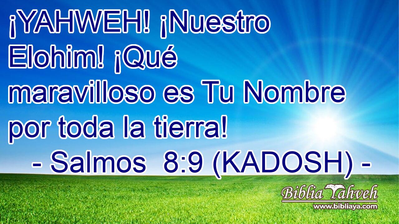 Salmos 89 Kadosh ¡yahweh ¡nuestro Elohim ¡qué Maravil 1087