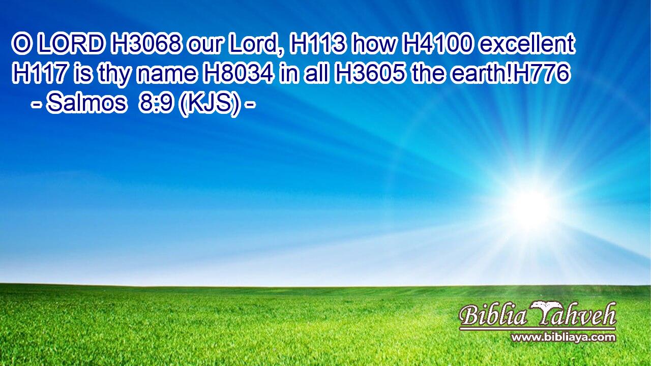 O LORD H3068 our Lord, H113 how H4100 excellent H117 is thy name H8034 in all H3605 the earth!H776