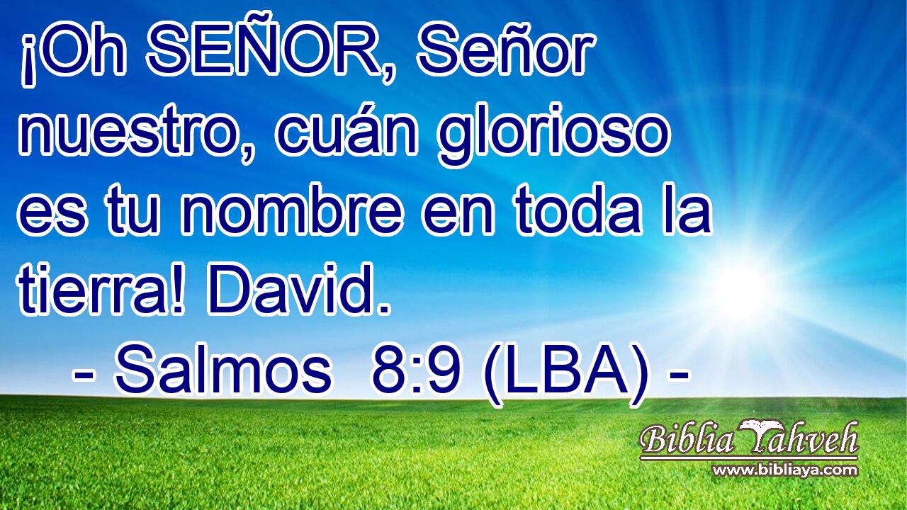 ¡Oh SEÑOR, Señor nuestro, cuán glorioso es tu nombre en toda la tierra! David.