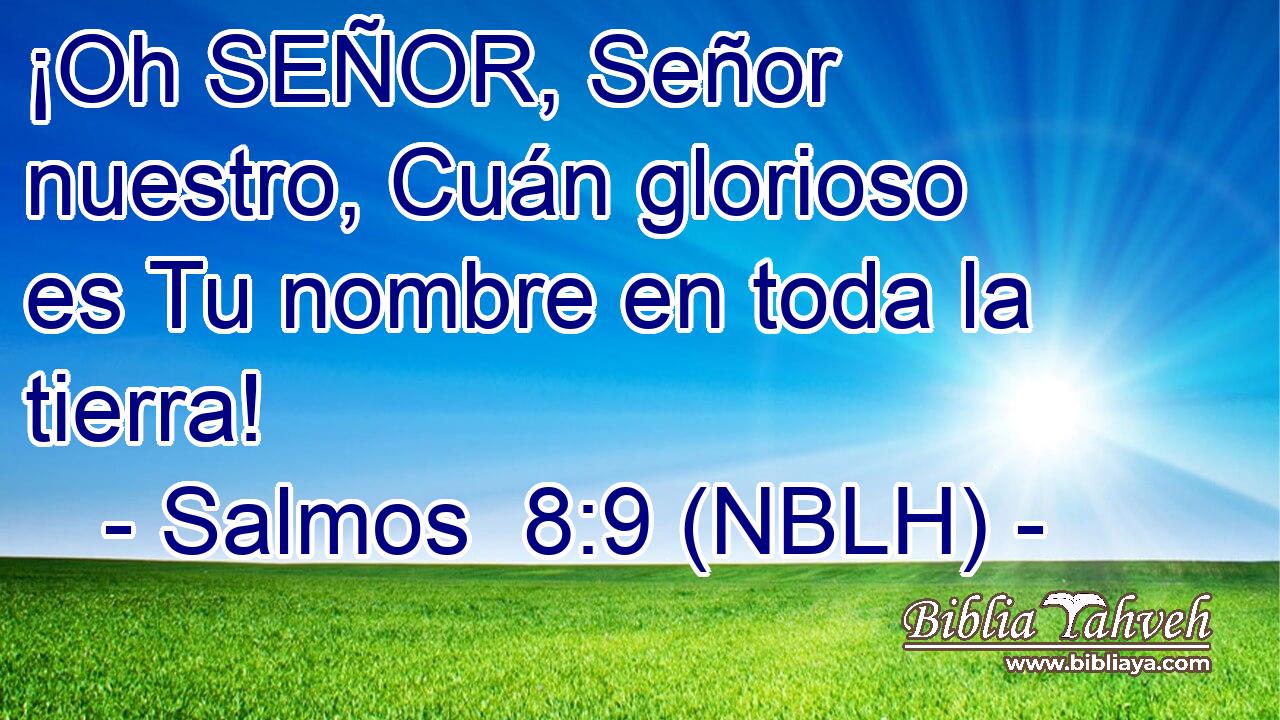  ¡Oh SEÑOR, Señor nuestro, Cuán glorioso es Tu nombre en toda la tierra! 