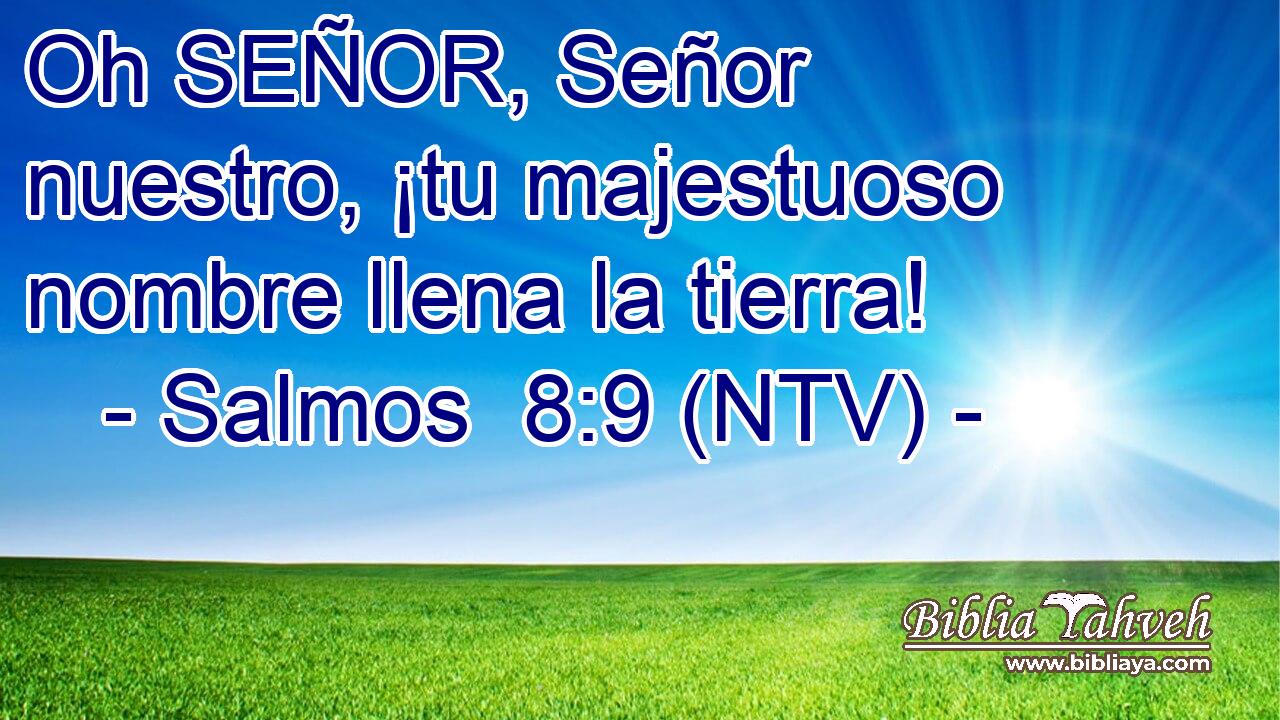 Oh SEÑOR, Señor nuestro, ¡tu majestuoso nombre llena la tierra!