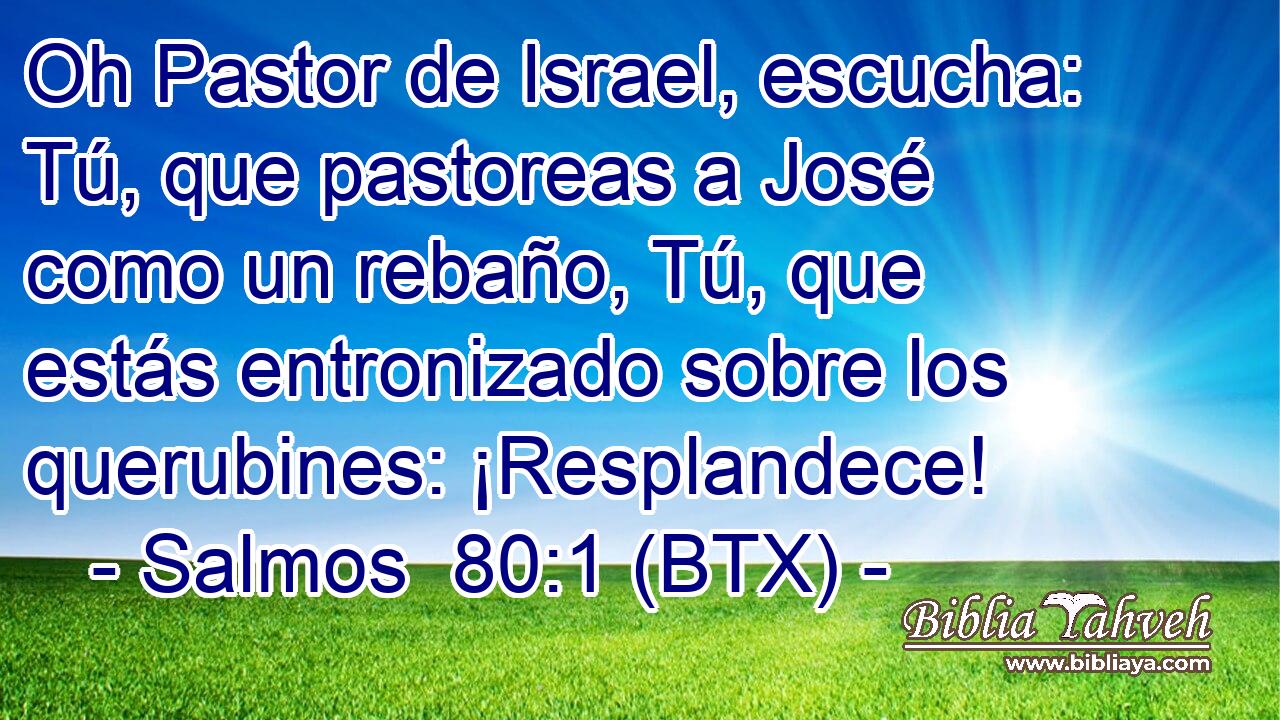 Oh Pastor de Israel, escucha: Tú, que pastoreas a José como un rebaño, Tú, que estás entronizado sobre los querubines: ¡Resplandece!